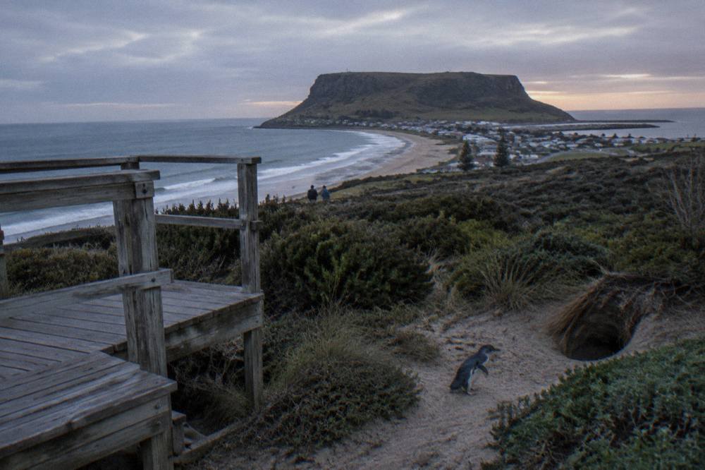 A wooden viewing platform beside a darkening beach with low coastal scrub