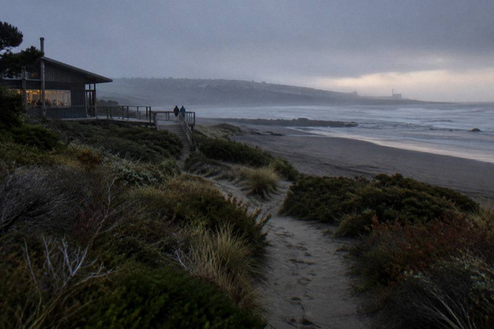 Coastal walking track through low vegetation leading toward a dark beach