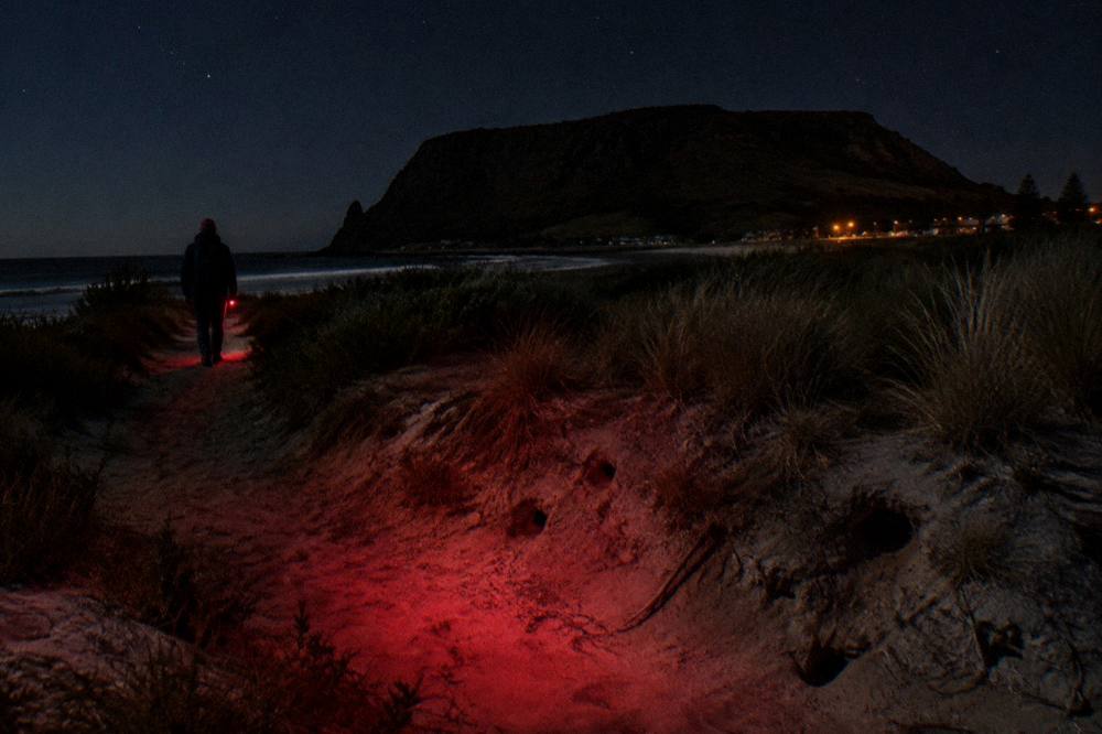 A dim red torch beam held low over a sandy track beside coastal grasses at night