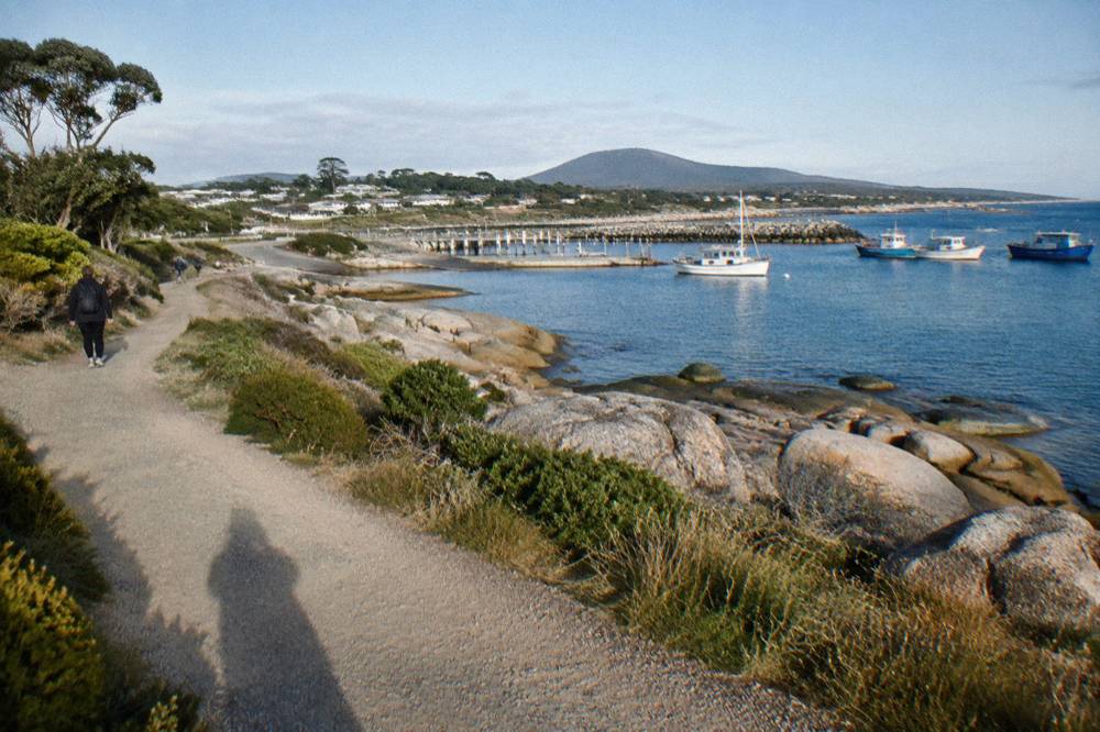 A coastal walking track beside a calm blue harbour with fishing boats moored in the distance
