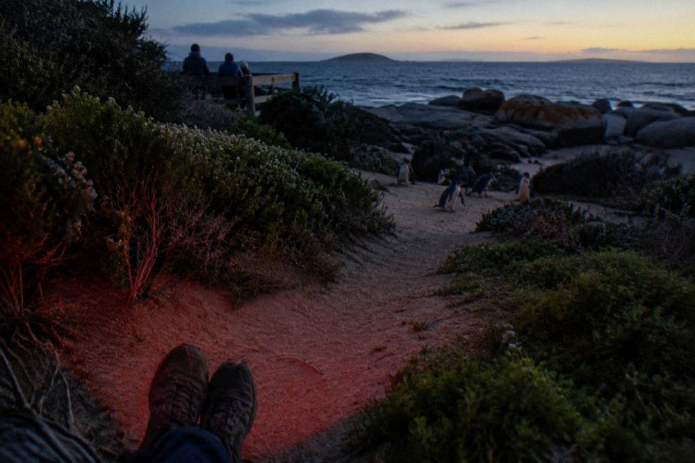 Enclosed walking shoes on a sandy coastal track at dusk
