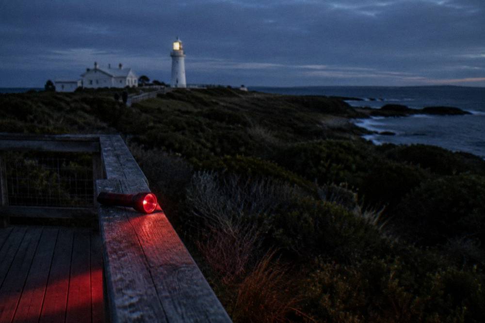 A red-filtered torch resting on a wooden railing at a penguin viewing platform