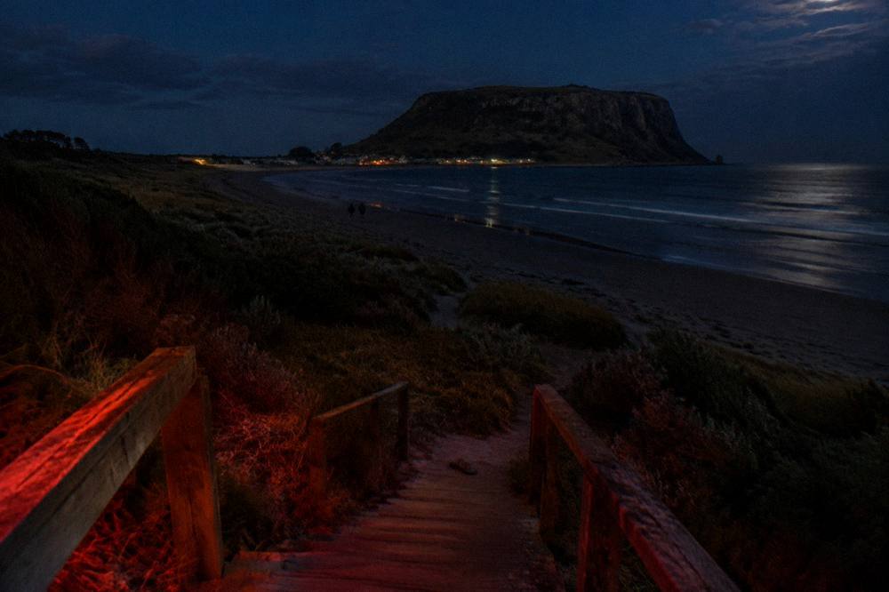 A dim red glow marking a boardwalk edge at a dark penguin viewing area